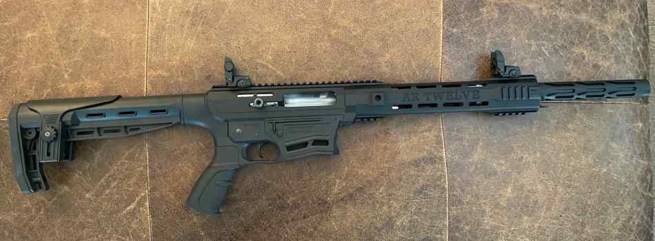 Panzer Arms AR Twelve (AR-12)