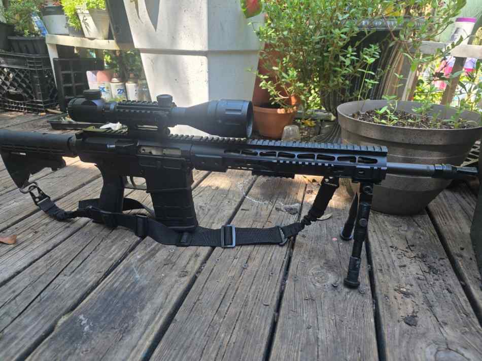Dpms ar-10 .308